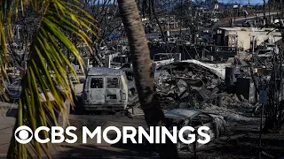 Maui fire survivors describe returning to destroyed towns, waiting for assistance