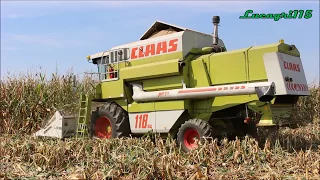 MIETITURA MAIS-Claas Dominator 118-Corn Harvest 2017