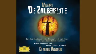 Mozart: Die Zauberflöte, K. 620, Act I - Dialogue. Ha, ha, ha! - He, Sklaven!