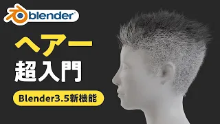 【Blender3.5】髪の毛を作ろう！新ヘアーシステム使い方