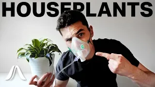 Do House Plants ACTUALLY Clean The Air?