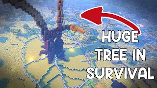 Building a MEGA tree on my survival minecraft server :: Kimchitopia Ep 1