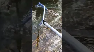 Рыбалка с подсаком на лужах