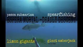 PESCA submarina MEDREGAL GIGANTE🐟🔱2020🔱🎯 BAJADA MORTAL SPEARFISHING A DEADLY DESCENT GRUPER1007