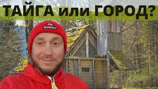 ТАЙГА или ГОРОД? РОМАНТИКА ТАЕЖНОЙ ИЗБУШКИ! КОГТИ, ЛЫЖИ и ПОРЯДОК!