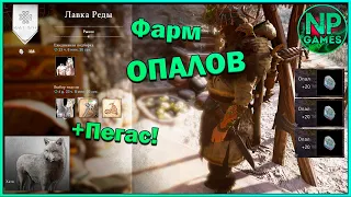 [ГАЙД] Assassin's Creed Valhalla Опалы + Пегас вальгалла Опалы как где фармить получить опалы волк