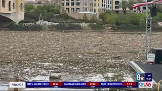 'This is the worst I've ever seen it,' Lake Las Vegas closes after storm debris covers lake