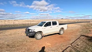 Looking around on a windy day