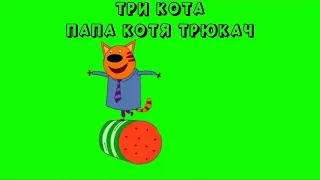 ТРИ КОТА ФУТАЖ / ПАПА КОТЯ ТРЮКАЧ / ВОТ ЭТО ТЕХНИКА ТРИ КОТА на ЗЕЛЕНОМ ФОНЕ