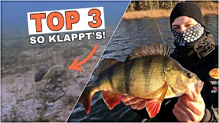 DICKE WINTERBARSCHE - TOP 3 Tipps! (Köder, Spots,Technik)