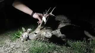 Otvaranje lova na Srndaća i Divlje Svinje u Kniću/Roebuck and wildboar season open in Knić | E164