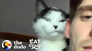 Cat And His Dad Are Obsessed With Each Other | The Dodo Cat Crazy