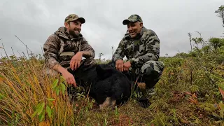 2022 Newfoundland Bear Hunt with Efford’s Hunting Adventures