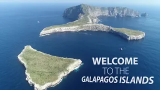 Galapagos is Open!