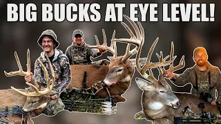 TOP 5 BUCKS From the GROUND! - Bowhunting Public Land Whitetails