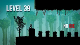 Ninja Arashi 2 Level 39