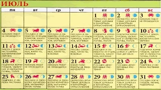 Календарь работ Виноградаря.[Работы в Июле]