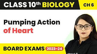 Pumping Action of Heart - Life Process | Class 10 Biology