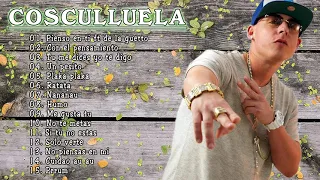 COSCULLUELA Sus Mejores Éxitos MIX 2020 - COSCULLUELA Best Of Full Playlist