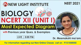 MOST EXPECTED DIAGRAM | BIOLOGY | NCERT II | UNIT I | NEET 2021 | Dr. Meenakshi Ma'am