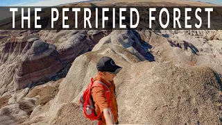 3 places you've probably never heard of in the Petrified Forest National Park