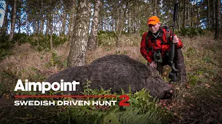 Swedish Driven Hunt - 2