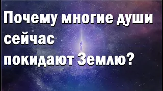 Почему многие души сейчас покидают Землю?