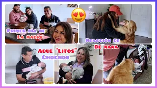 LLEGADA DE LA BEBE A CASA 🏠 REACCION DE NANA C0N LA BEBE 👶🏻🐕 BUSCANDO REGALO PARA GIGI 🛍️