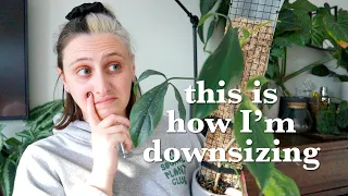 how I declutter my plant collection 🪴🗑️  Downsizing!!!