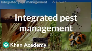 Integrated pest management| Land and Water Use| AP Environmental science| Khan Academy