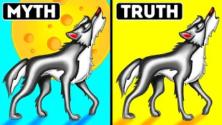 The Moon Affects Wolves + 15 Myths You Were Told At School