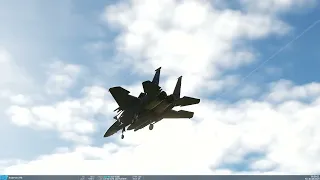 DCS　F-15E着陸