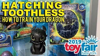Spin Master's Hatching Toothless How To Train Your Dragon Hatchimal!
