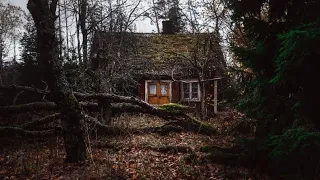 🌧️ЛИВЕНЬ В ЛЕСУ Звук дождя и раскаты грома для сна