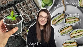 Souboj s dýní, první setí, náš pracovní týden | vlog #9/2024 | MaruškaVEG