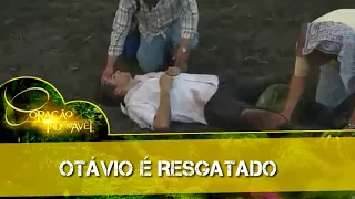 Coração Indomável - Maricruz, Karim e Eduardo, procuram por Otávio na floresta ; Otávio é Resgatado