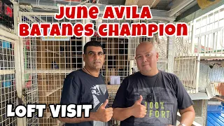 LOFT VISIT KAY JUNE AVILA, BATANES CHAMPION |Reggie Cruz Loft & Aviary #racingpigeon