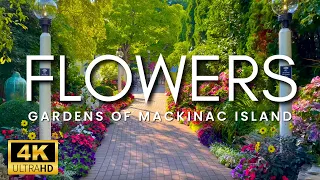 The Most Beautiful Flowers With Peaceful Music For Relaxation ~ Mackinac Island Garden Scenes, 4K
