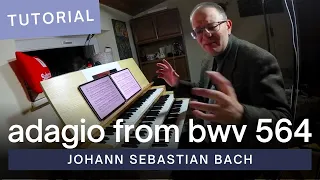 8 Steps in Mastering Adagio from Toccata, Adagio and Fugue in C Major, BWV 564 by J.S. Bach
