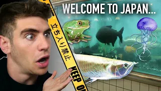 LARGEST AQUARIUM STORE IN JAPAN TOUR!!