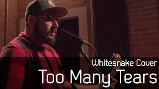 Too Many Tears - Whitesnake acoustic version by Bruno Prado