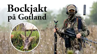 Jaktresan: Bockjakt på Gotland