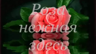 С Днем рождения! Этот вальс цветов для тебя!.wmv