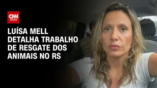 Luísa Mell detalha trabalho de resgate dos animais no RS | BASTIDORES CNN