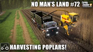 Harvesting Poplars & Spring Field Work, No Man's Land #72 Farming Simulator 19 Timelapse