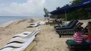 Крокодил на мексиканском пляже  Crocodile on Mexican beach