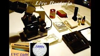 Live Bacteria Under The Microscope & UVC Light