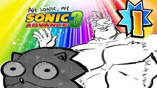 Sonic Advance 3  #1 - ГЕЙ -ТОВАРИЩ