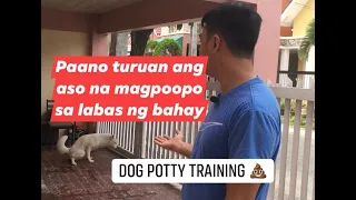 Paano turuan ang aso na mag poop or wiwi sa labas ng bahay, dog potty training