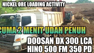 NICKEL ORE LOADING ACTIVITY WITH DOOSAN DX 300 LCA AND HINO 500 FM 350 PD